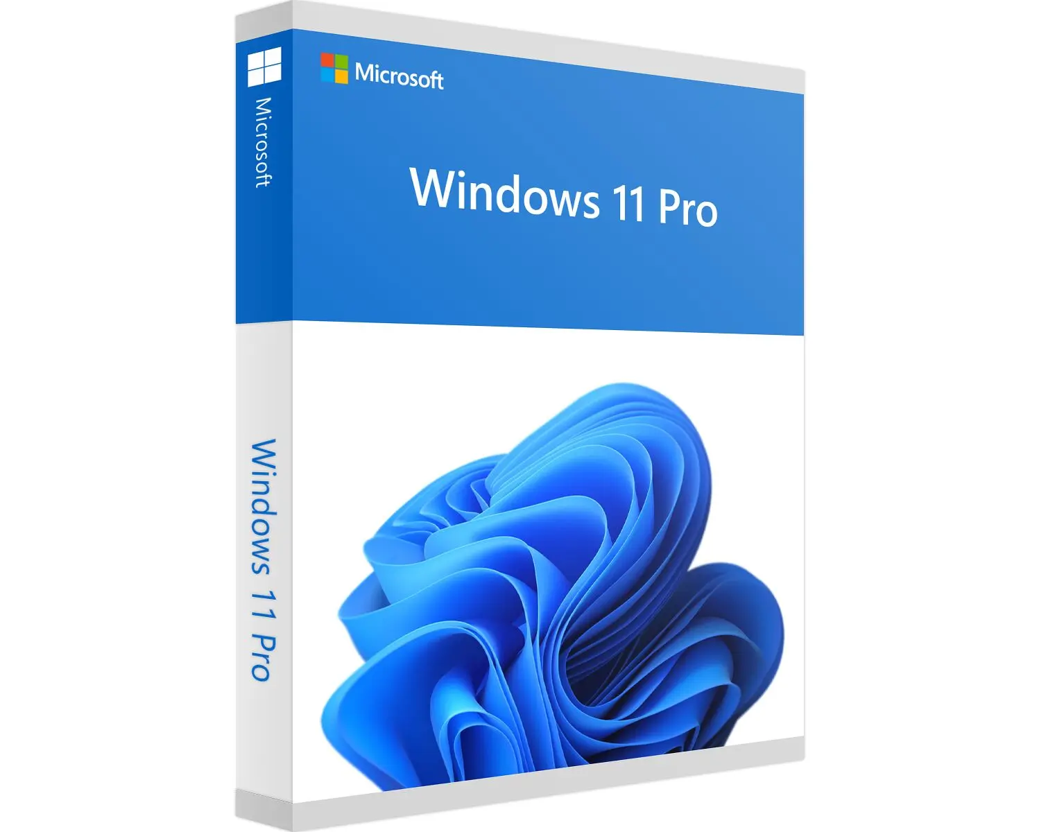 Microsoft Windows 11 Pro | Download (ESD)