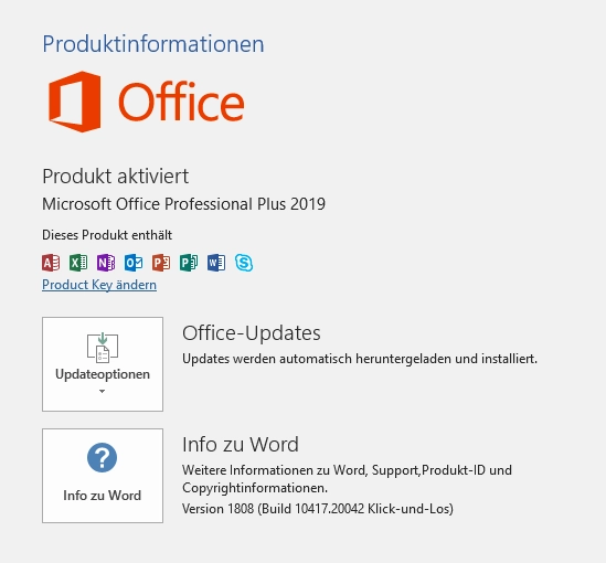 Microsoft Office 2019 Professional Plus | Download (ESD) | für Windows