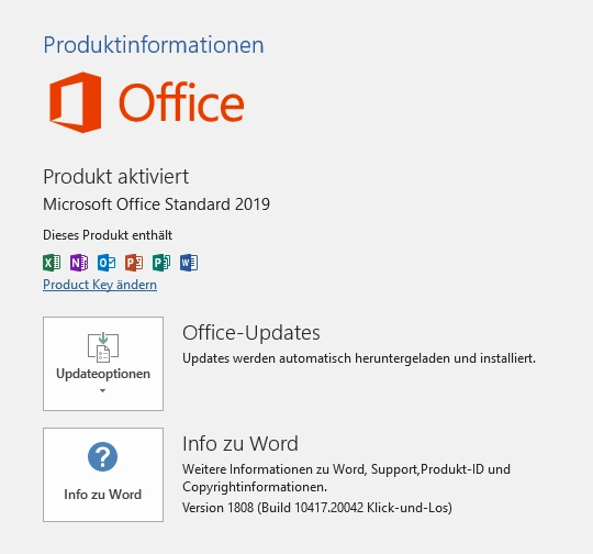 Microsoft Office 2019 Standard | Download (ESD) | für Windows