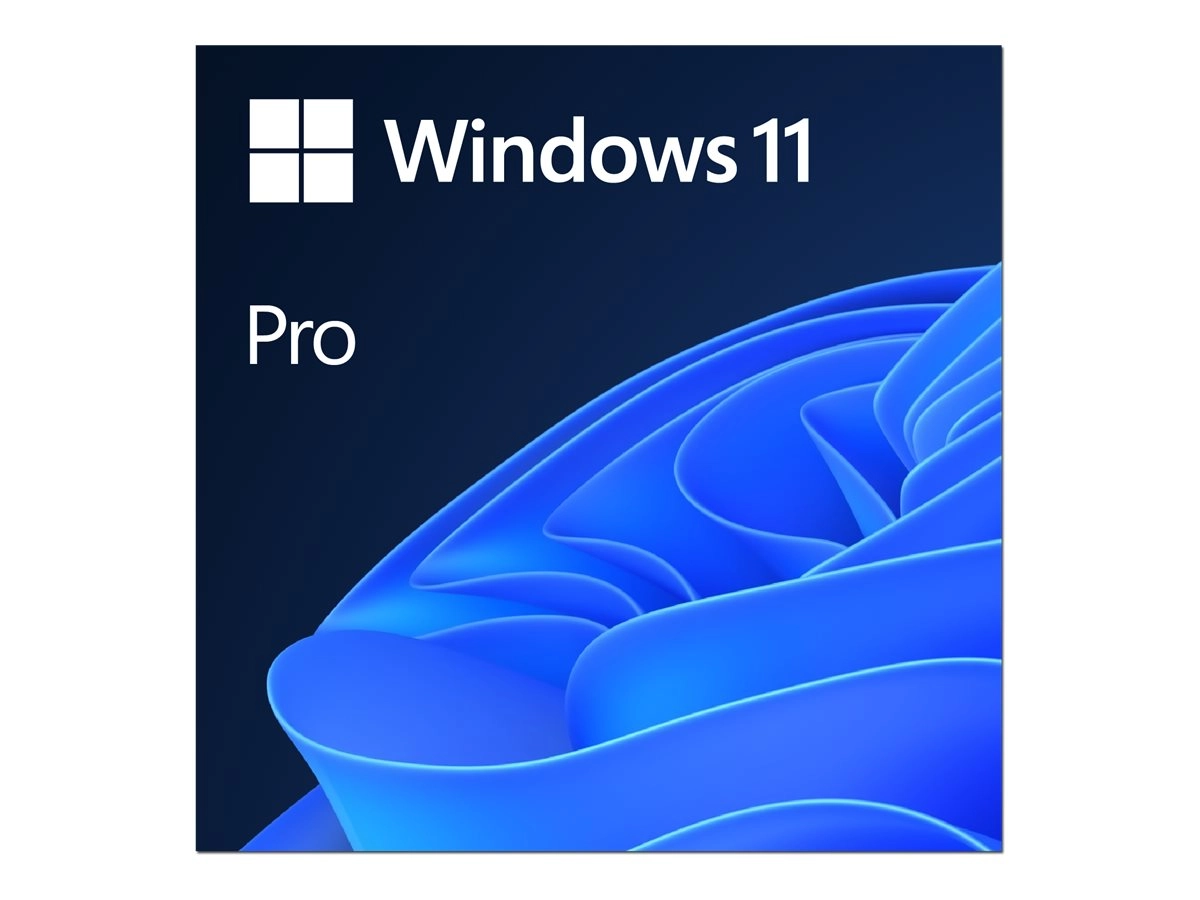 Microsoft Windows 11 Professional | Download (ESD)